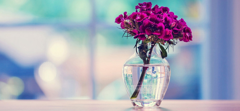vazodaki-çiçekleri-güçlendiren-tavsiyeler